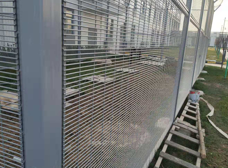 亚洲A片无码成人精品区