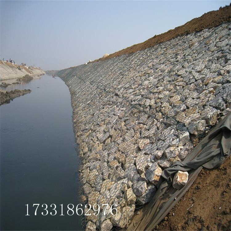 亚洲A片无码成人精品区