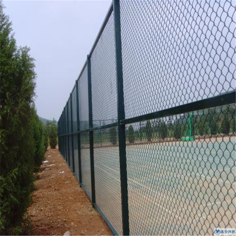 亚洲A片无码成人精品区