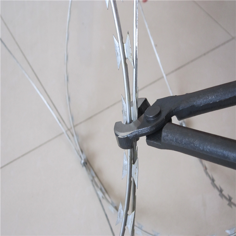 亚洲A片无码成人精品区