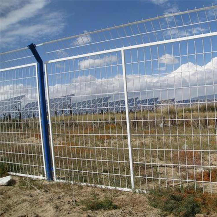 亚洲A片无码成人精品区