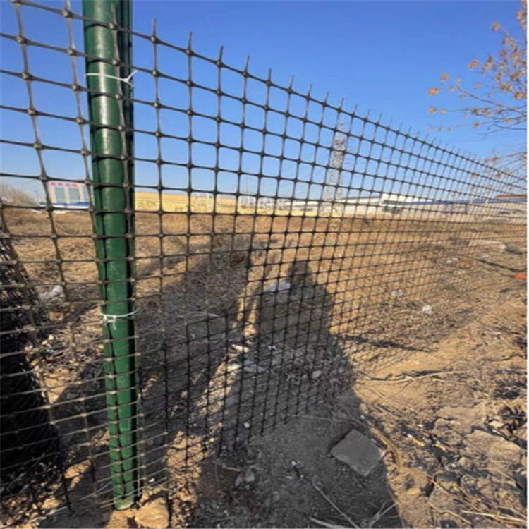 亚洲A片无码成人精品区