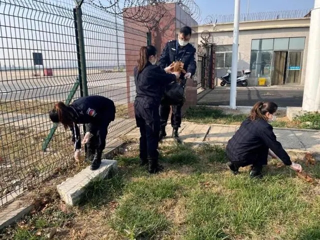 亚洲A片无码成人精品区