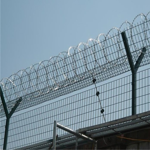 亚洲A片无码成人精品区