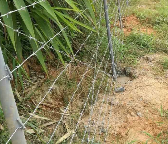 亚洲A片无码成人精品区