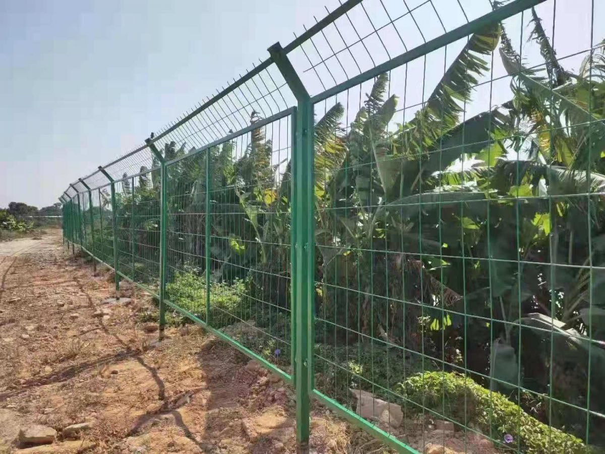 亚洲A片无码成人精品区