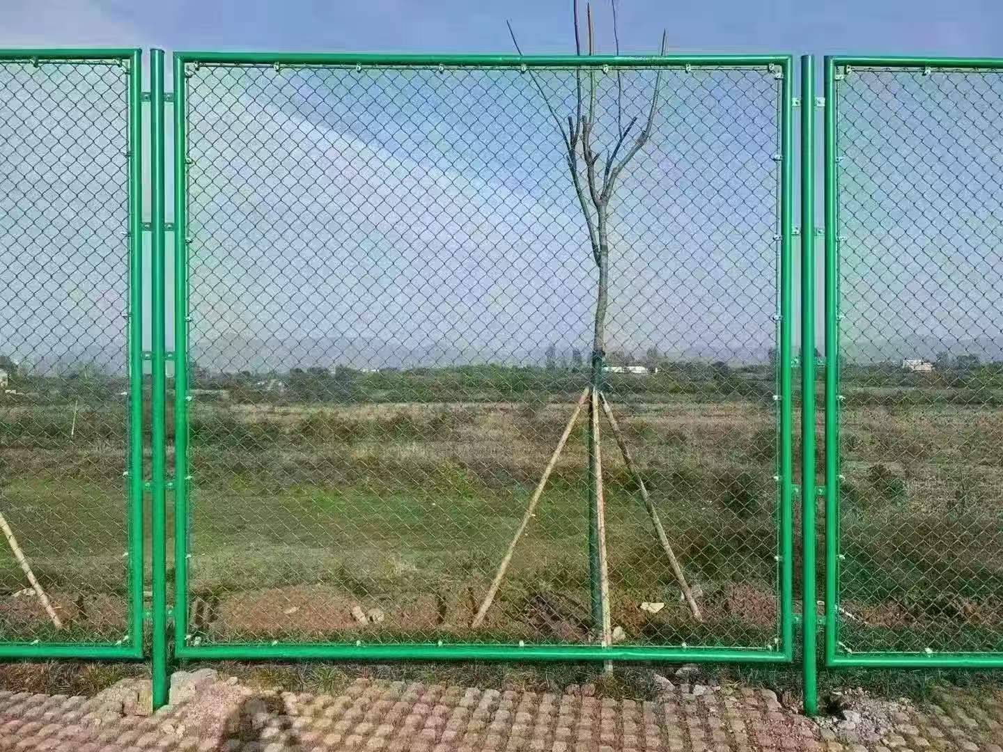 亚洲A片无码成人精品区